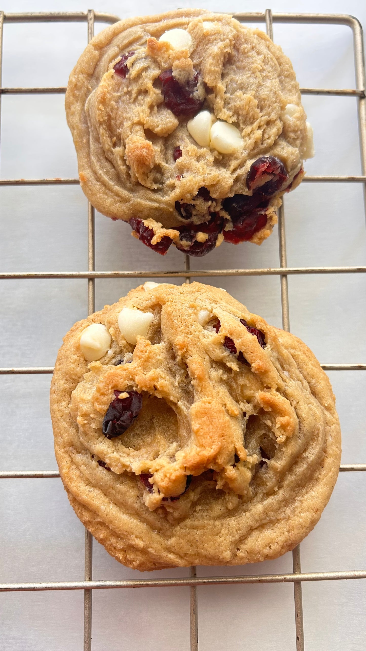 Mr. Barry – White Chocolate Cranberry Cookie