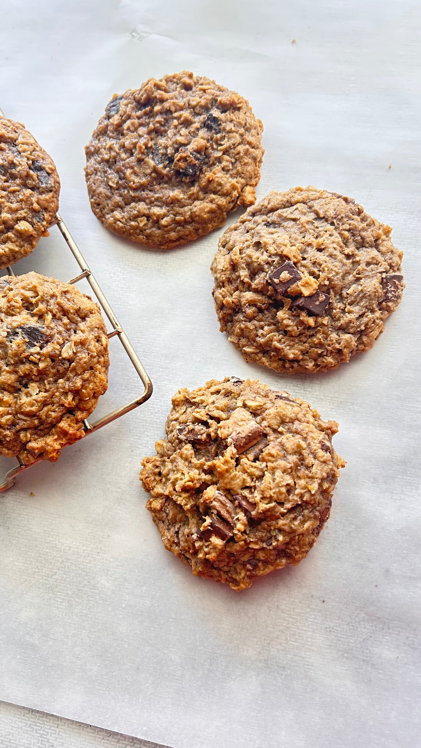Mr. Otis – Dairy Free Oatmeal Chocolate Cookie