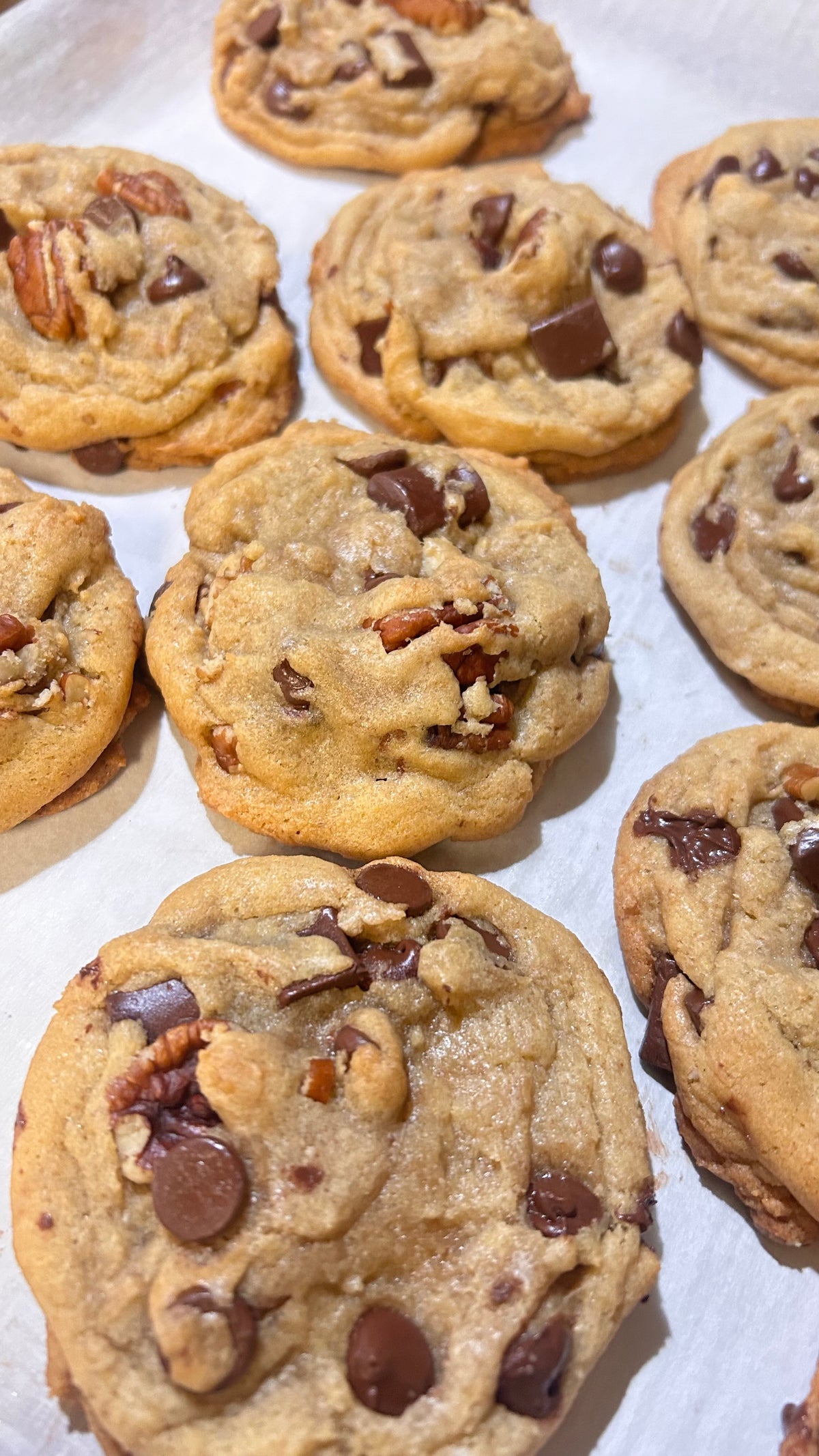 Mr. Phillips- Chocolate Chip Pecan - Sugar Daddy Cookies 