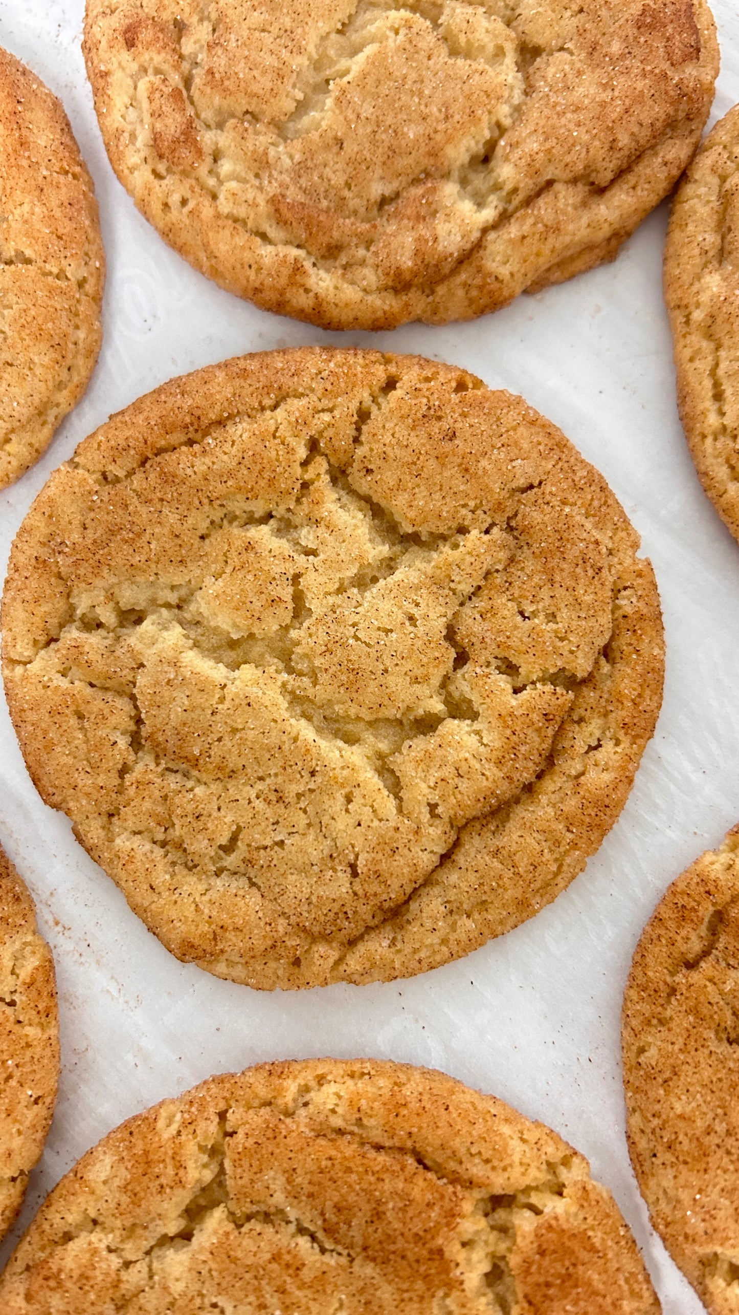 Mr. Stanley Earl - Snickerdoodle - Sugar Daddy Cookies 